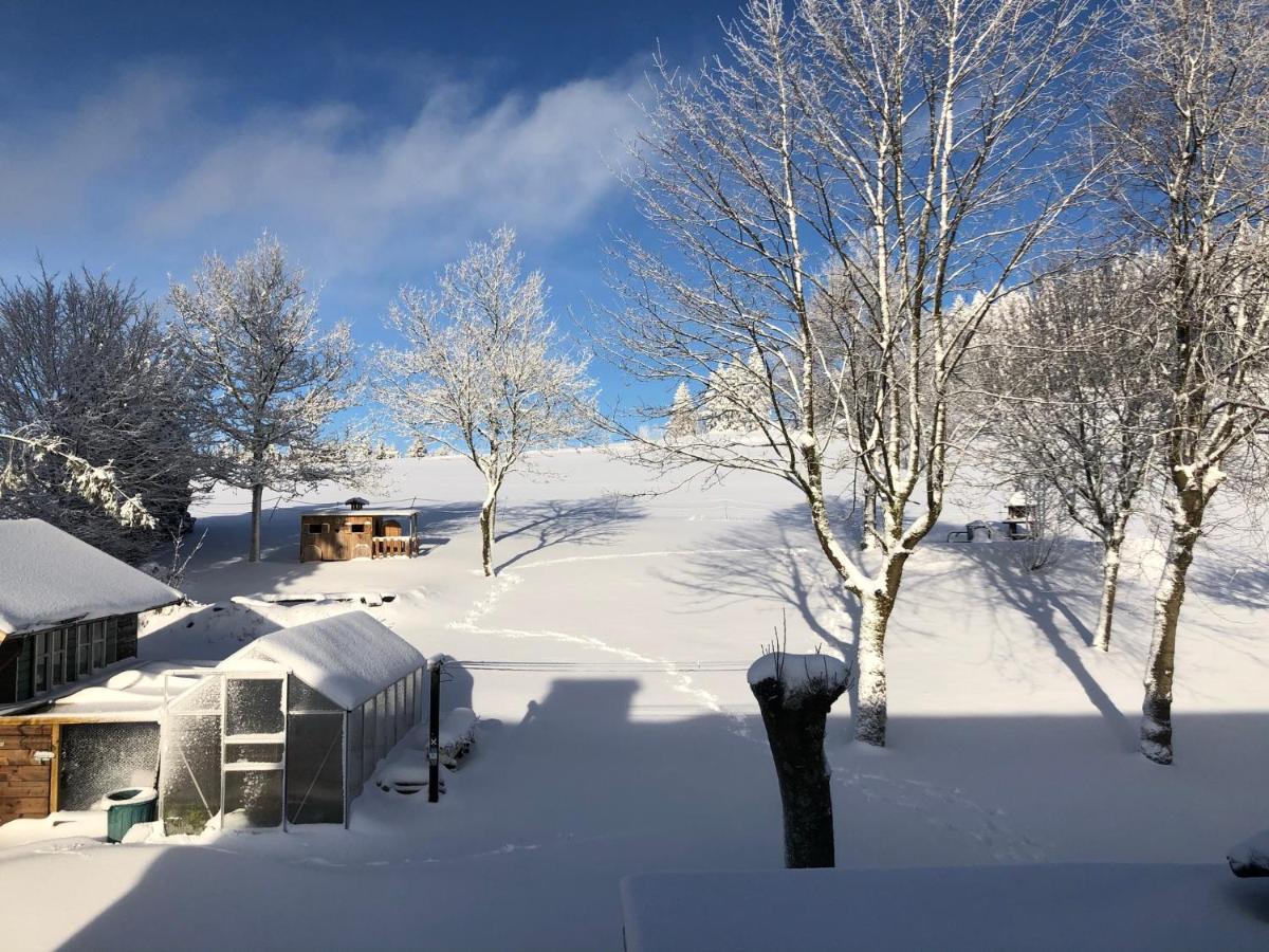 Berghaus Winterberg Hotel ภายนอก รูปภาพ