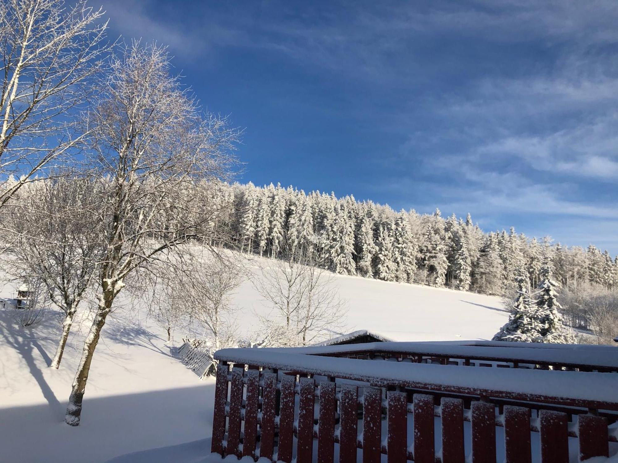 Berghaus Winterberg Hotel ภายนอก รูปภาพ